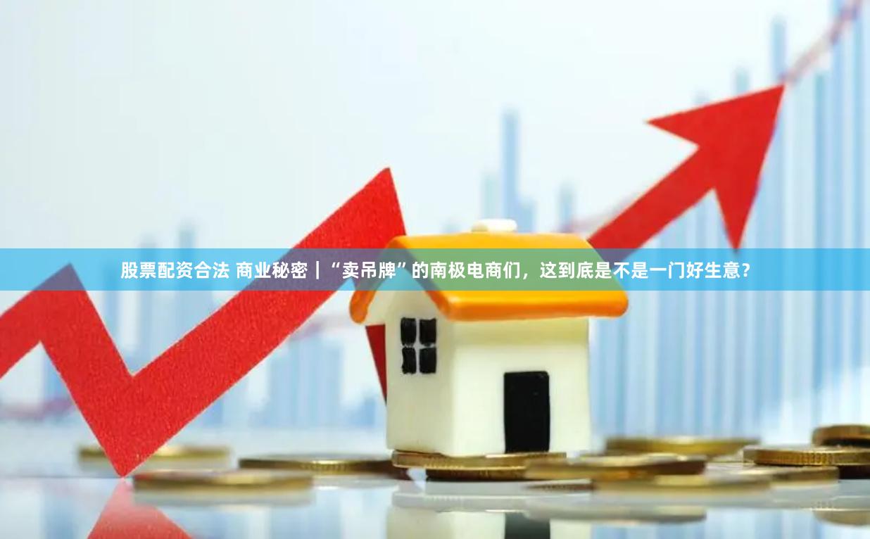股票配资合法 商业秘密｜“卖吊牌”的南极电商们，这到底是不是一门好生意？