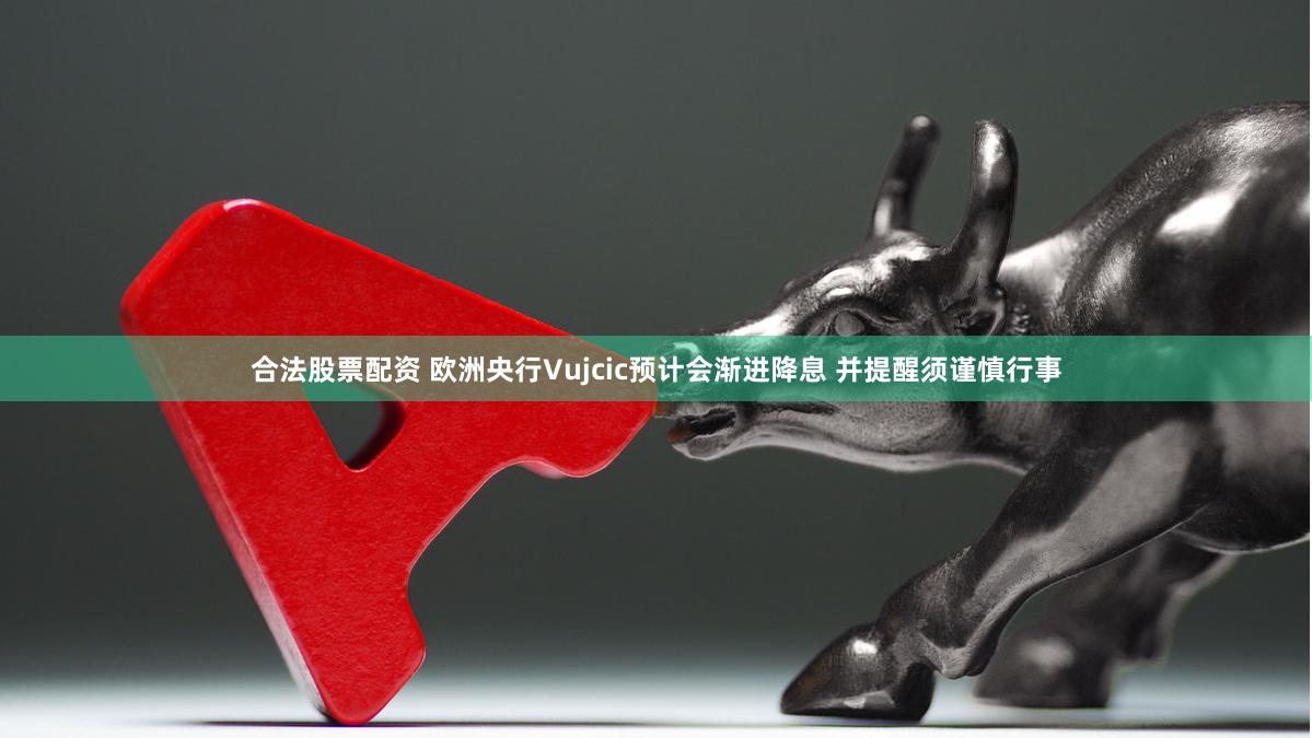 合法股票配资 欧洲央行Vujcic预计会渐进降息 并提醒须谨慎行事