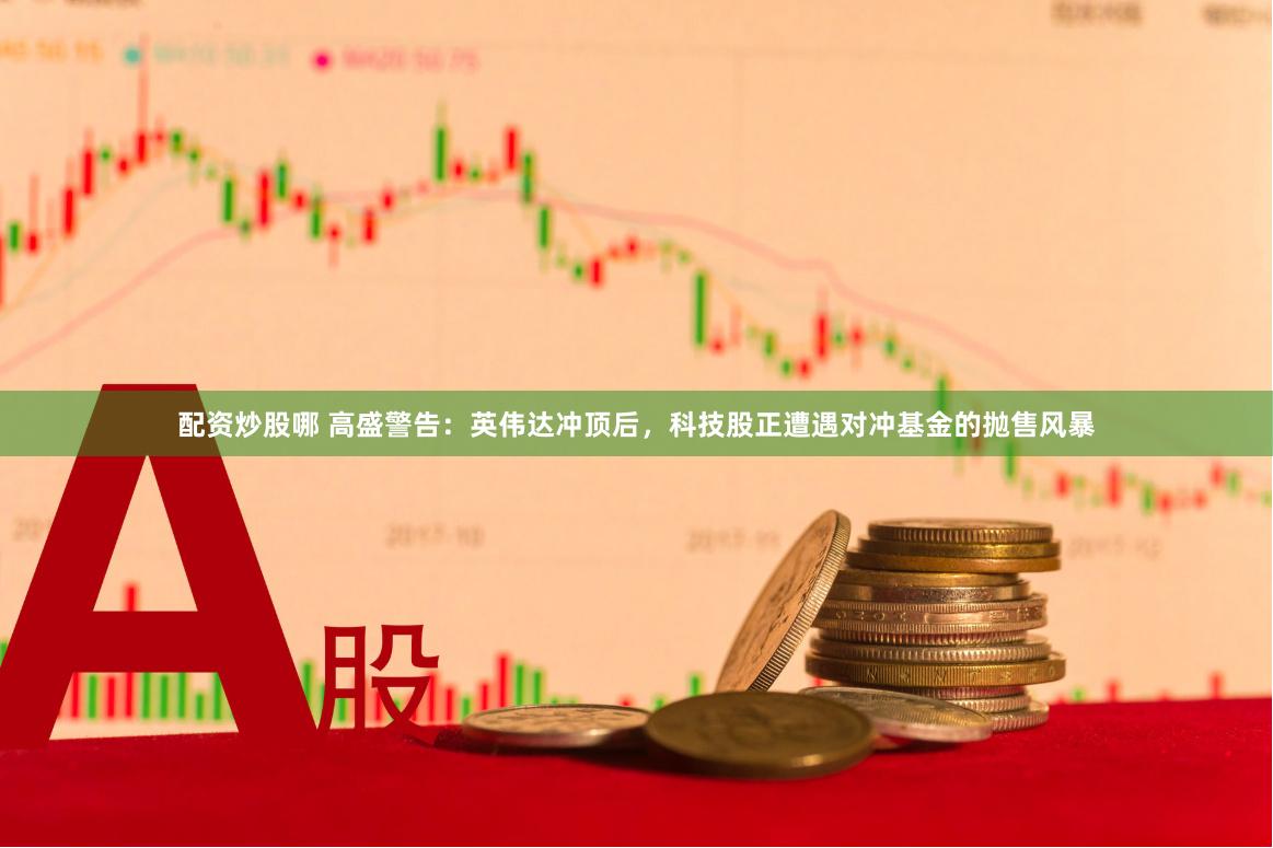 配资炒股哪 高盛警告：英伟达冲顶后，科技股正遭遇对冲基金的抛售风暴